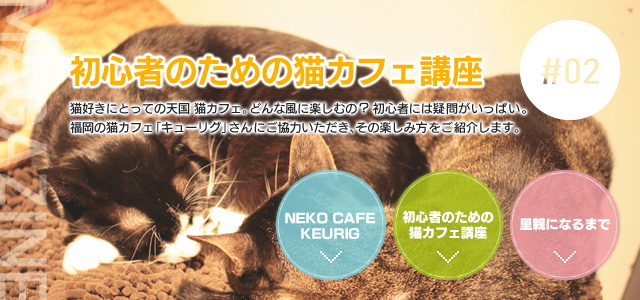 #02 初心者のための猫カフェ講座　猫好きにとっての天国 猫カフェ。どんな風に楽しむの？初心者には疑問がいっぱい。福岡の猫カフェ「キューリグ」さんにご協力いただき、その楽しみ方をご紹介します。